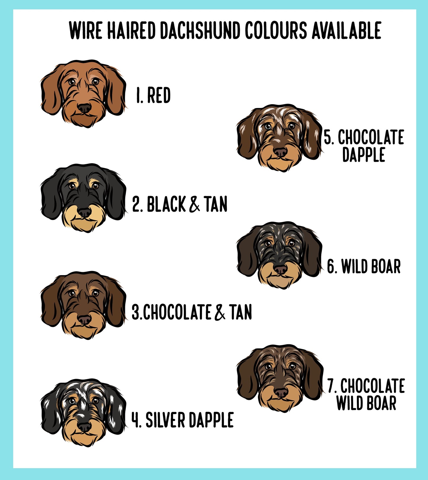 Wire Haired Dachshund Keyring