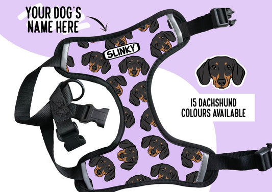 Dachshund Harness