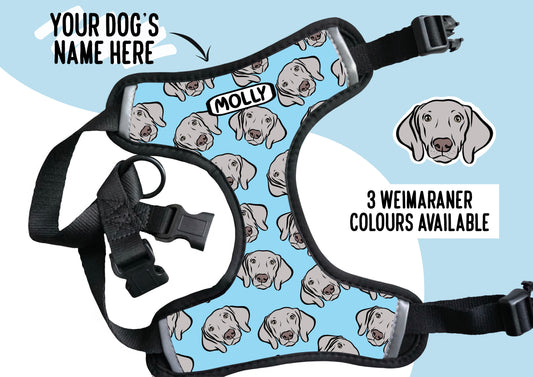 Weimaraner Harness
