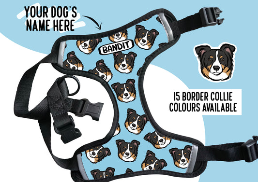 Border Collie Harness