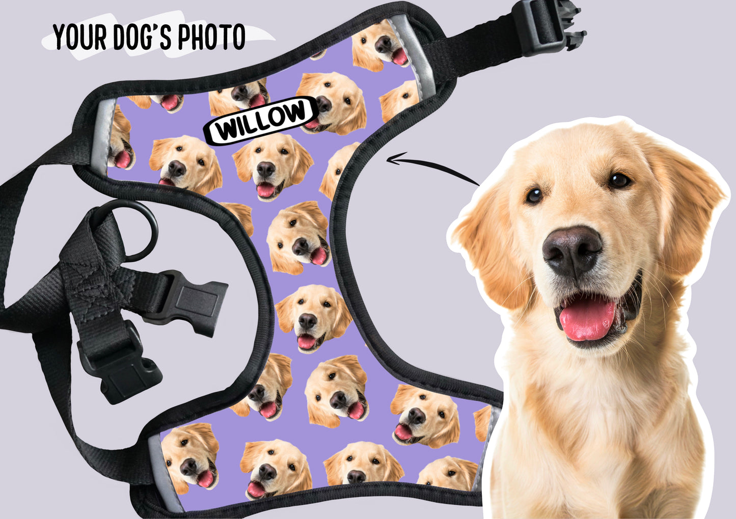 Personalised Dog Photo Harness