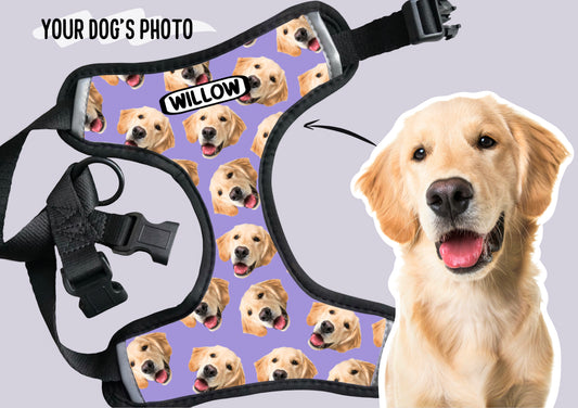 Personalised Dog Photo Harness