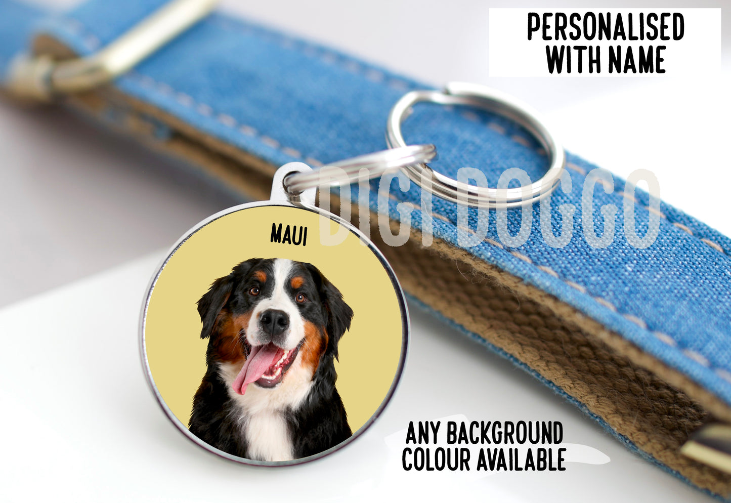 Pet Photo ID Tag