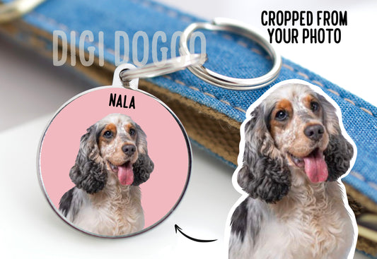 Pet Photo ID Tag