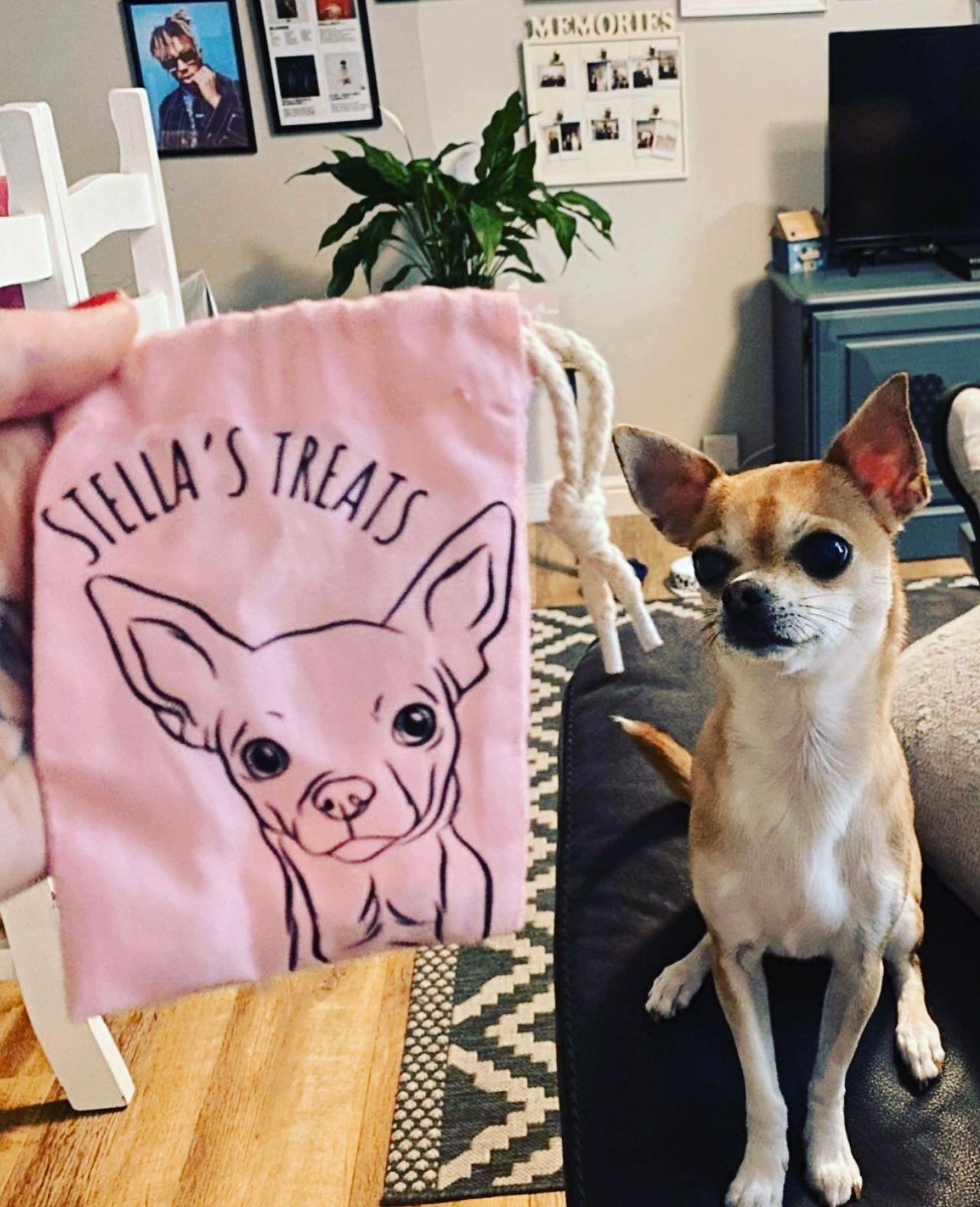 Pet Portrait Treat Bag (Pink)