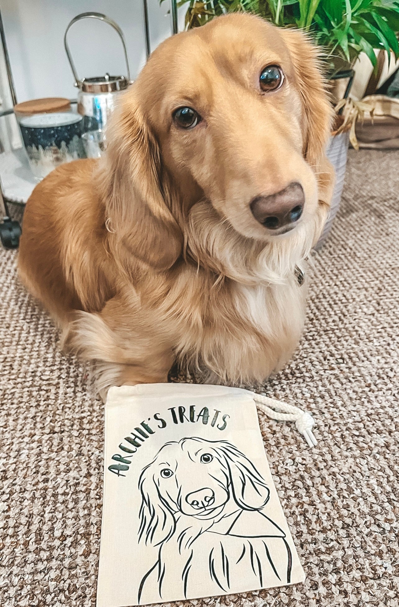 Pet Portrait Treat Bag (Beige)