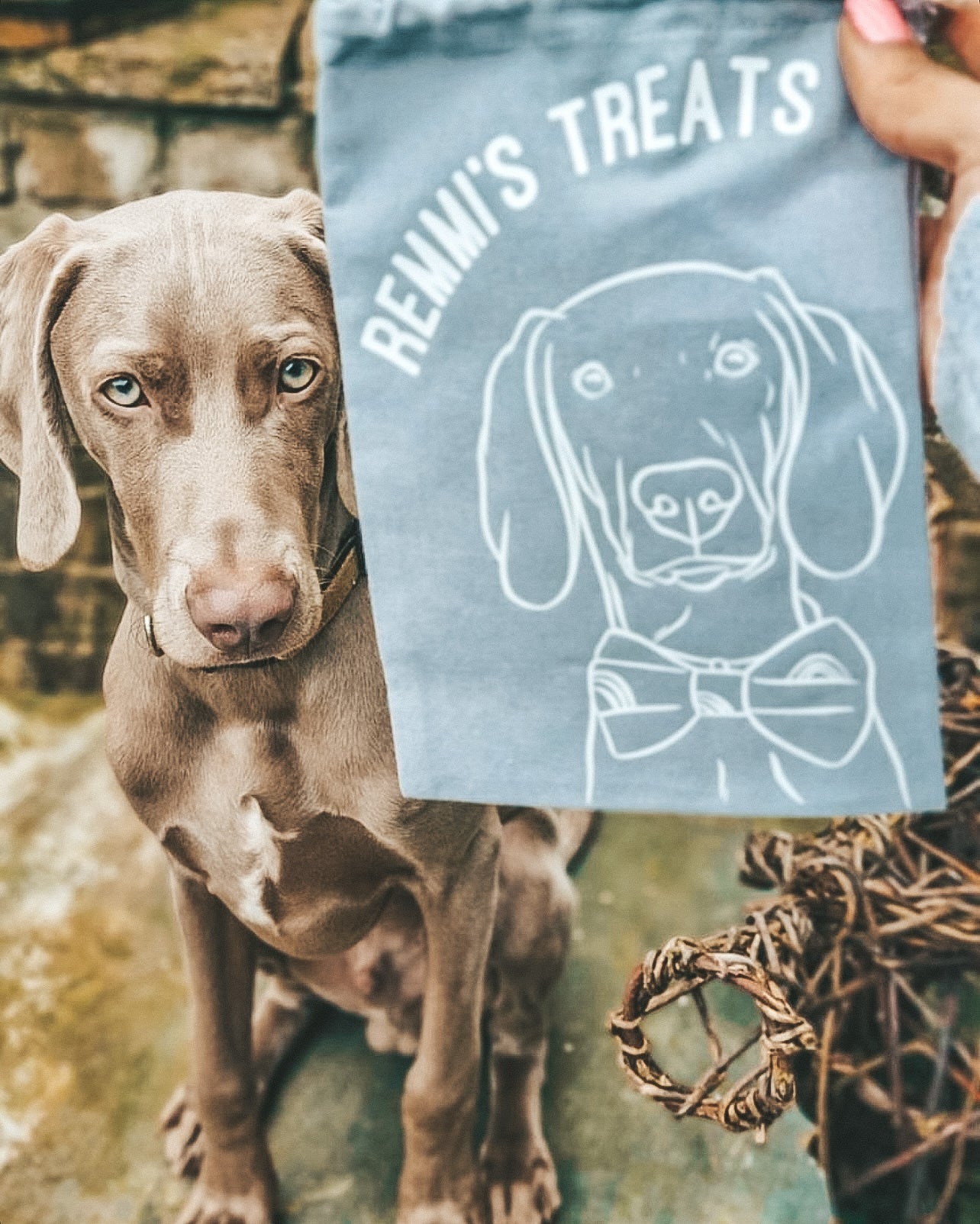 Pet Portrait Treat Bag (Grey)