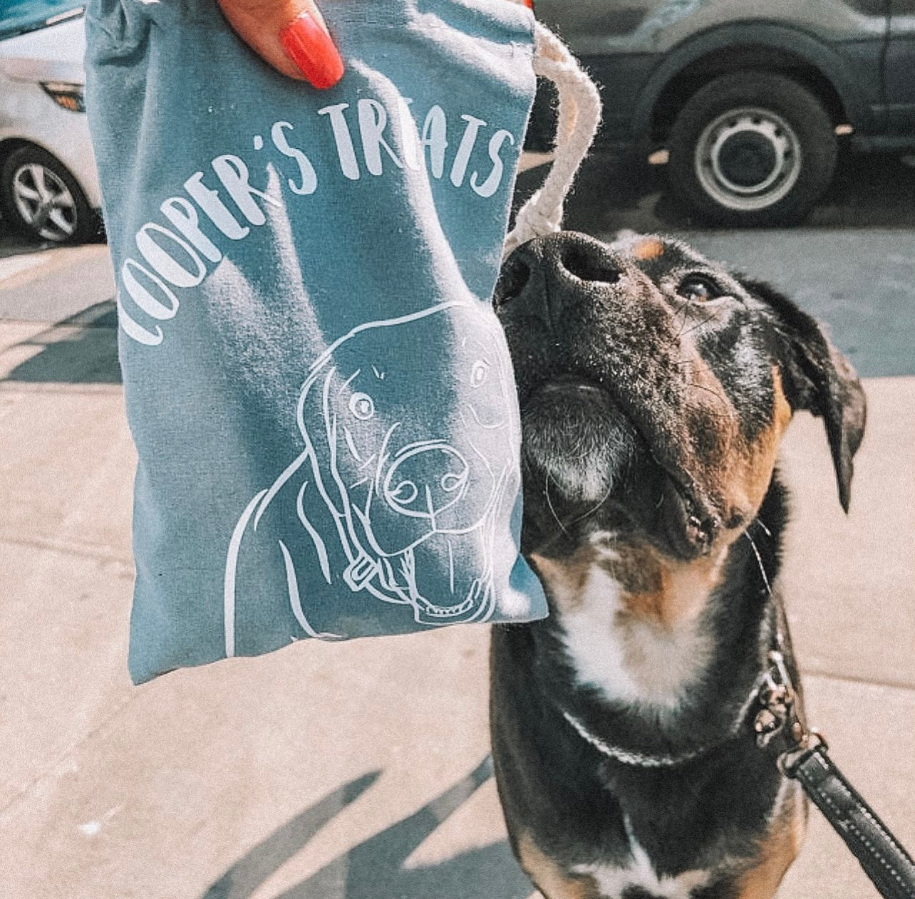 Pet Portrait Treat Bag (Grey)