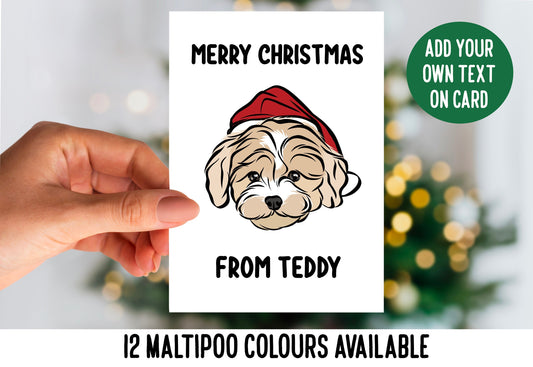 Cute Maltipoo Christmas Card