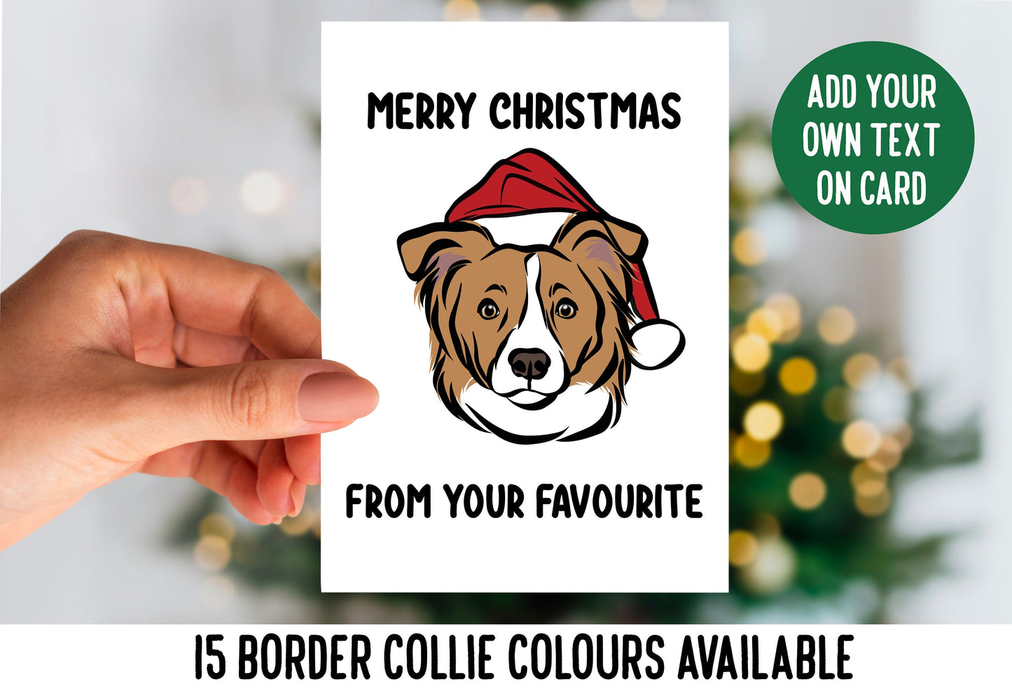 Border Collie Christmas Card