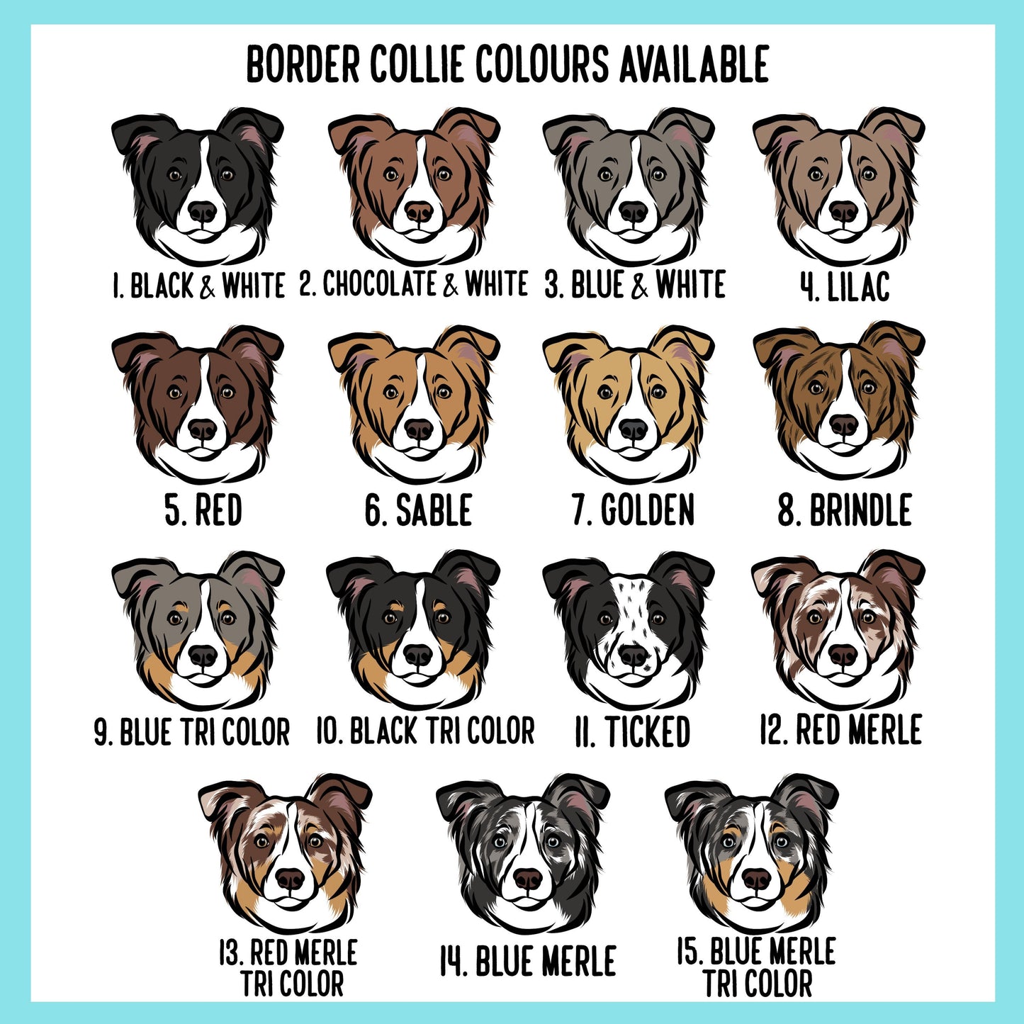 Border Collie Christmas Card
