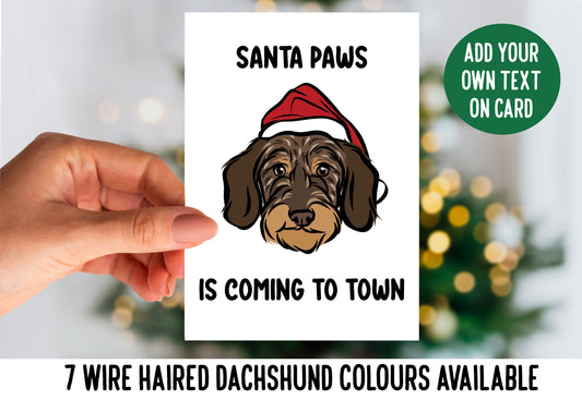 Wire Haired Dachshund Christmas Card