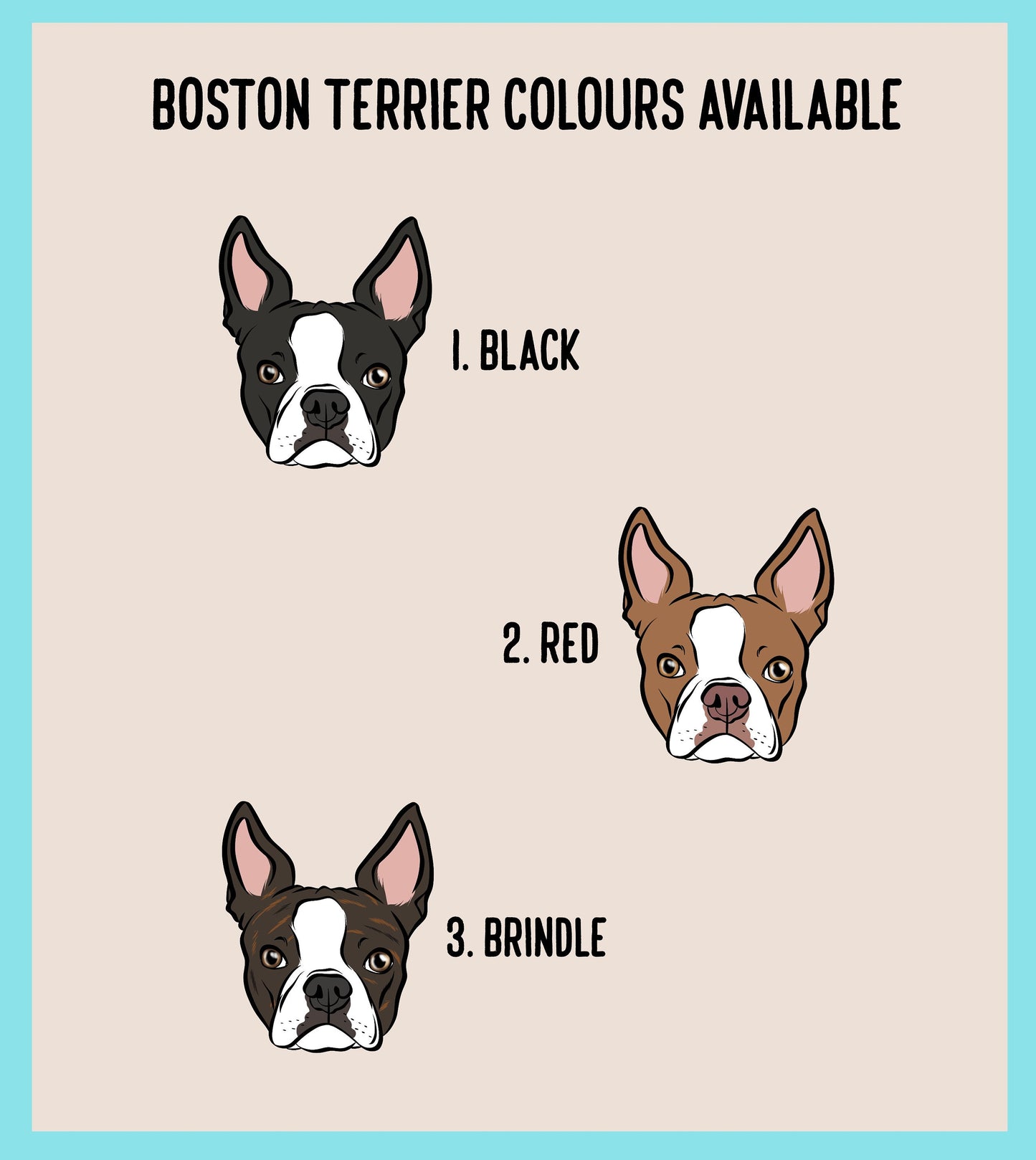 Boston Terrier Christmas Card