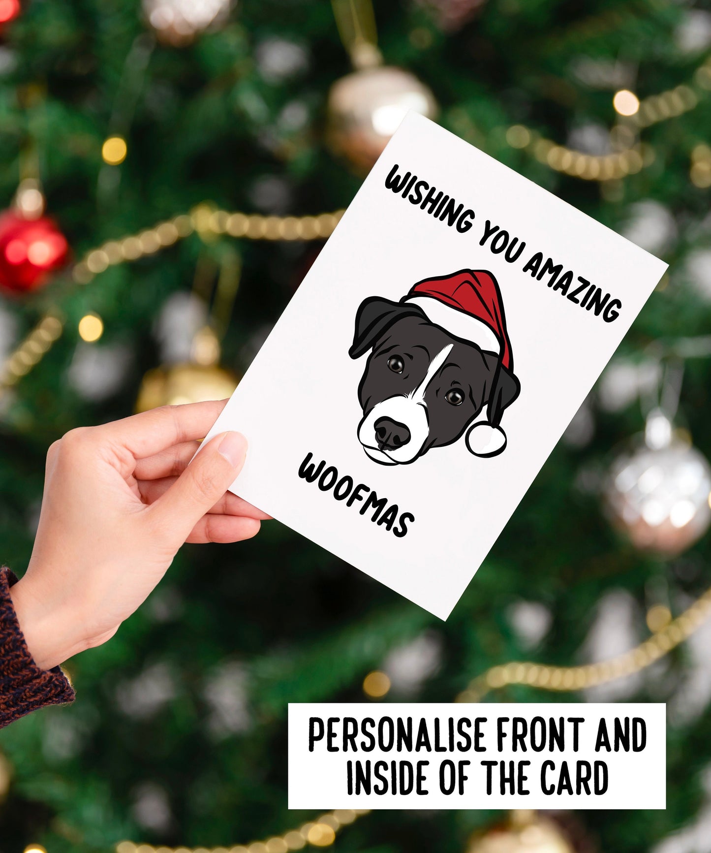Jack Russell Terrier Christmas Card