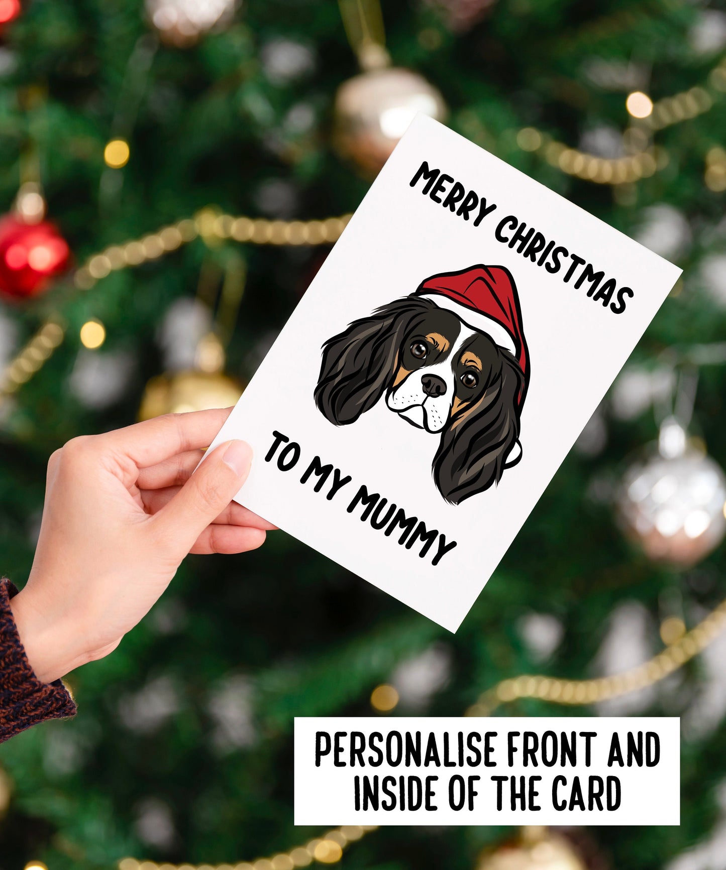 Cavalier King Charles Spaniel Christmas Card