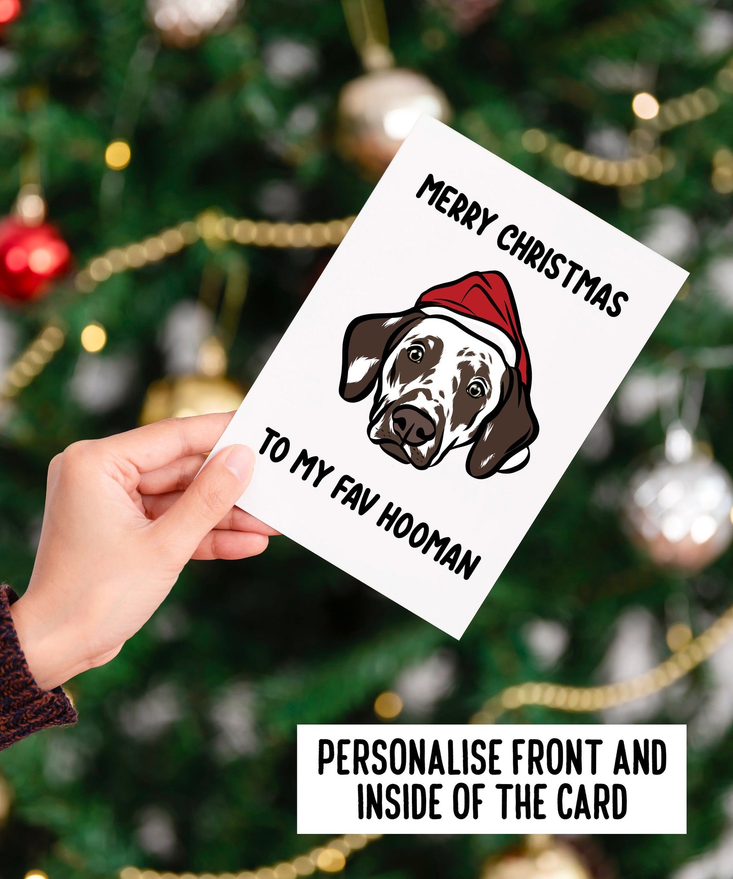 Dalmatian Christmas Card