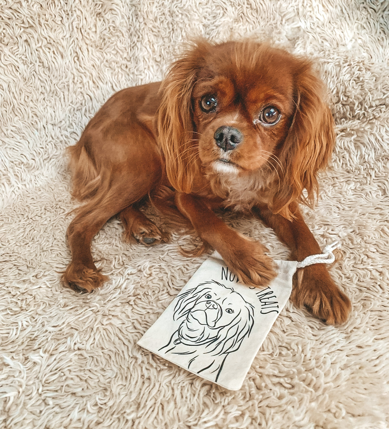 Pet Portrait Treat Bag (Beige)