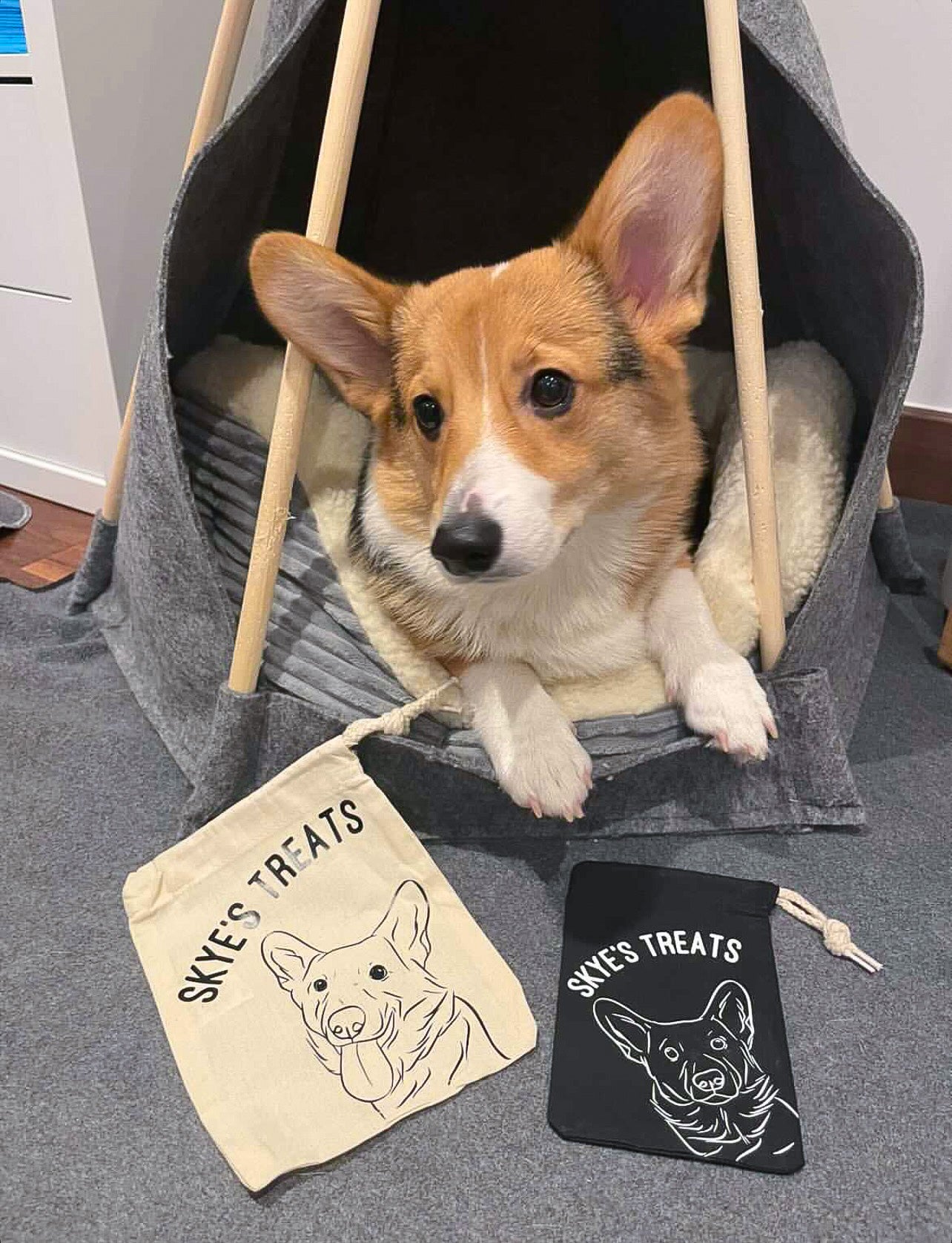 Pet Portrait Treat Bag (Black)