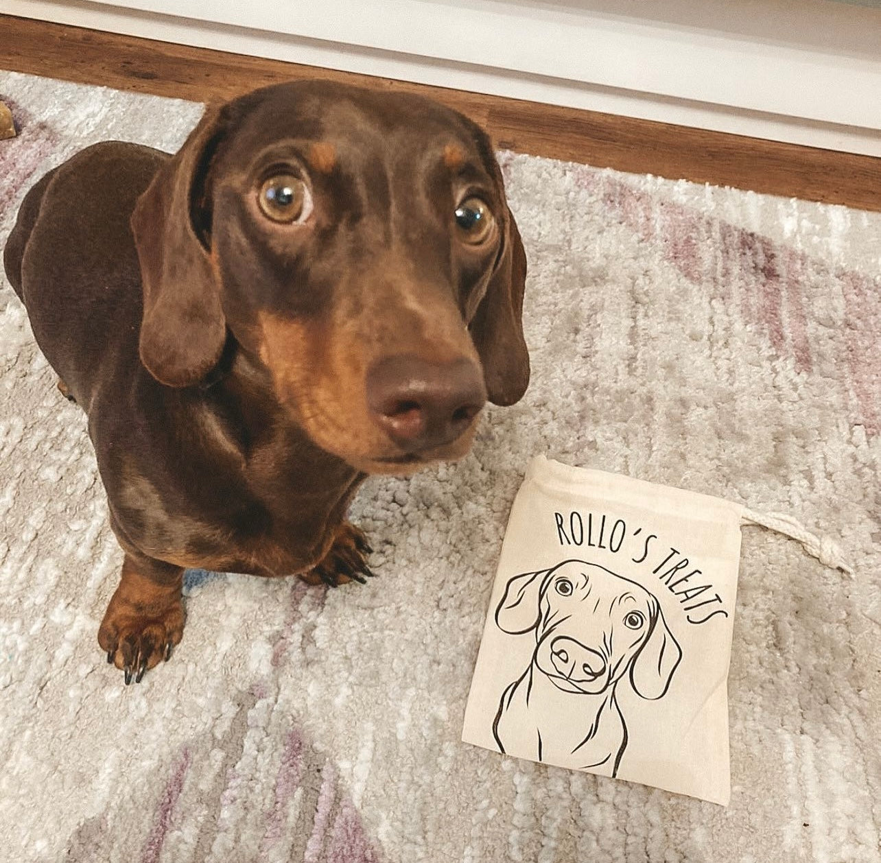 Pet Portrait Treat Bag (Beige)