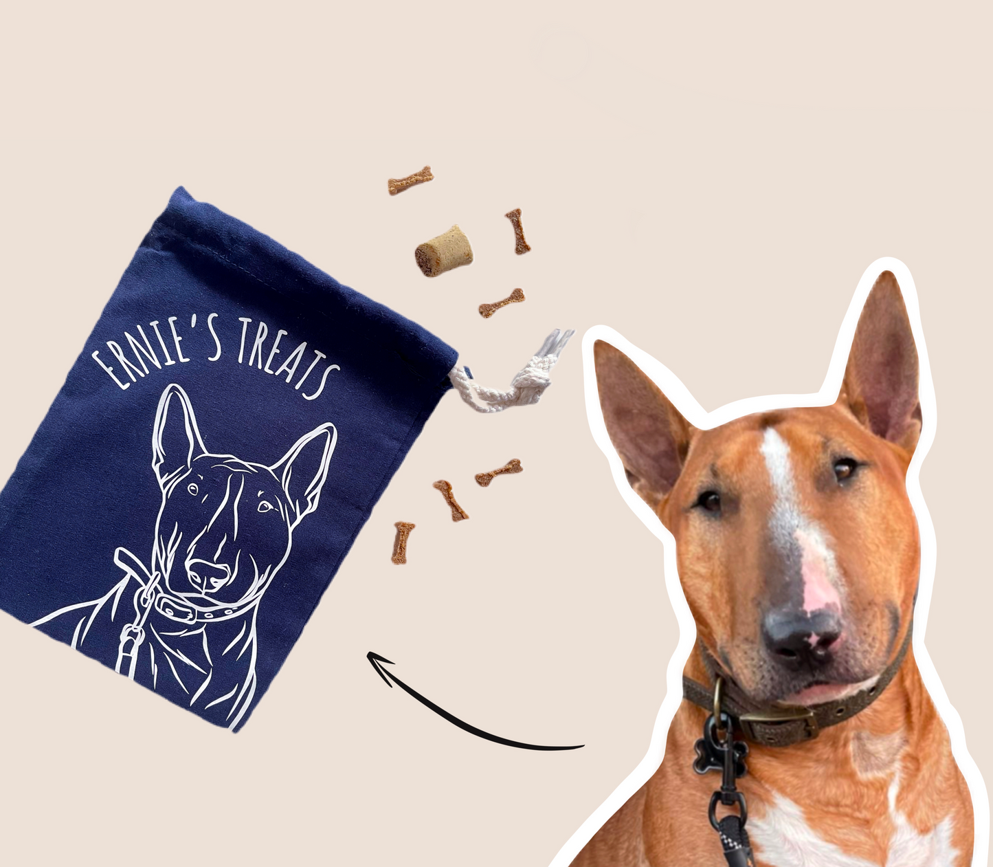 Pet Portrait Treat Bag (Navy)