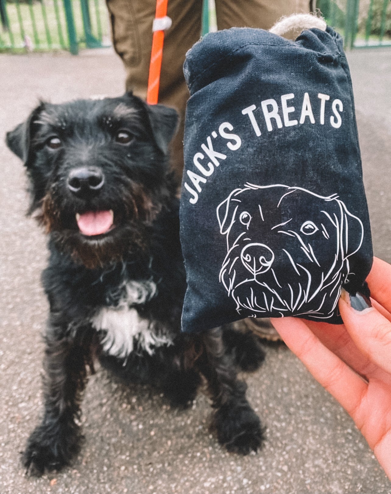 Pet Portrait Treat Bag (Black)