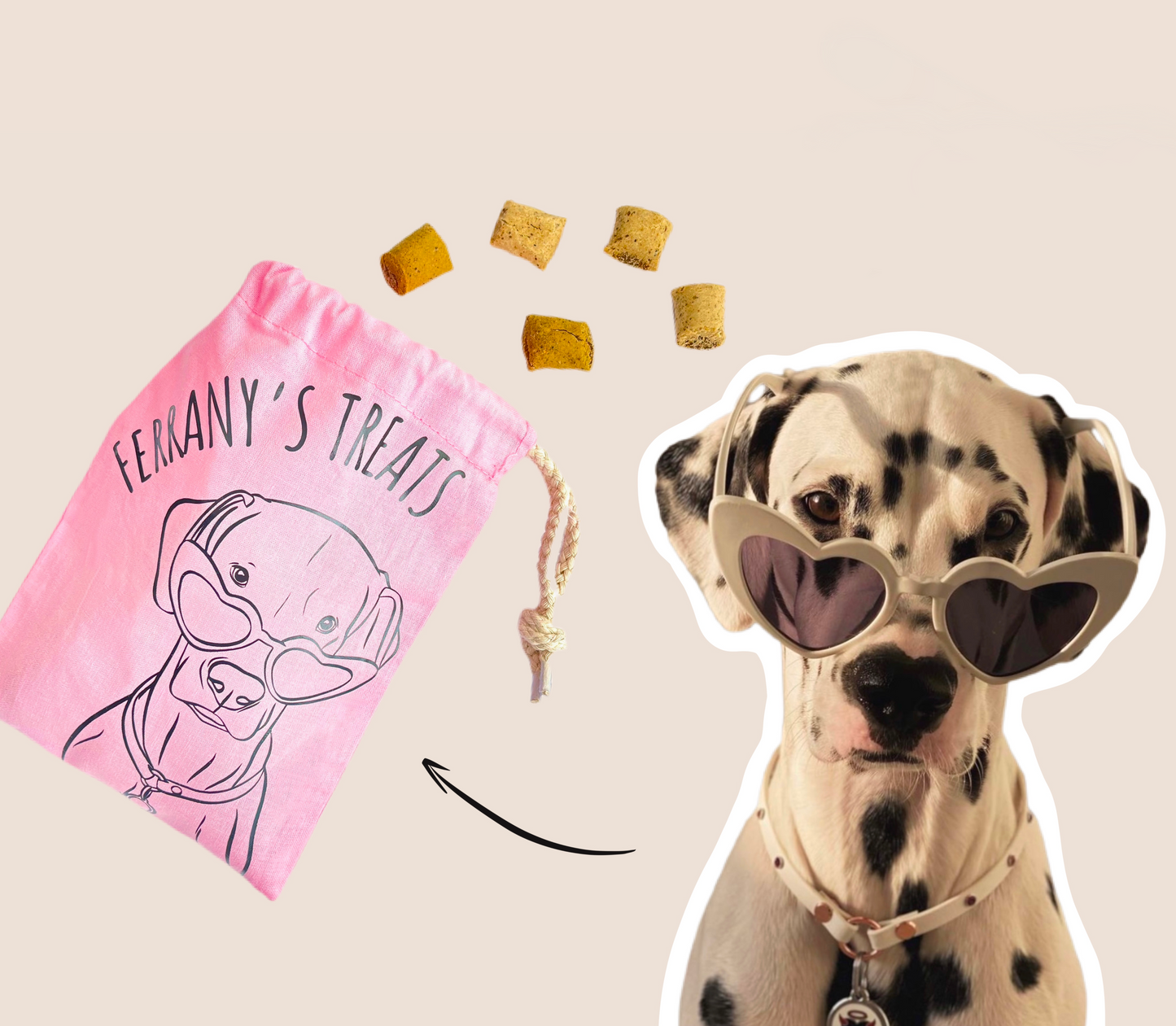 Pet Portrait Treat Bag (Pink)