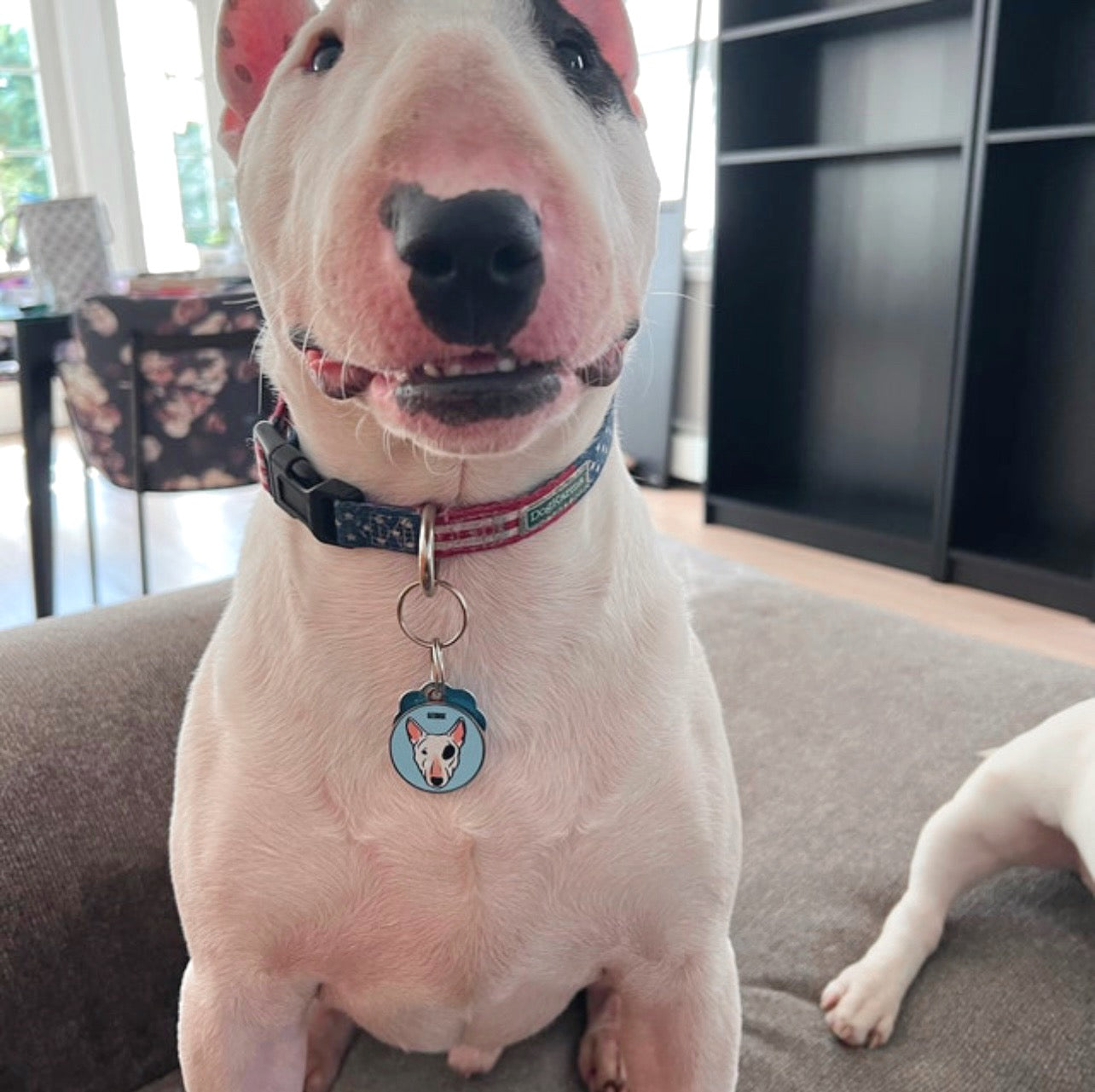 Bull Terrier ID Tag