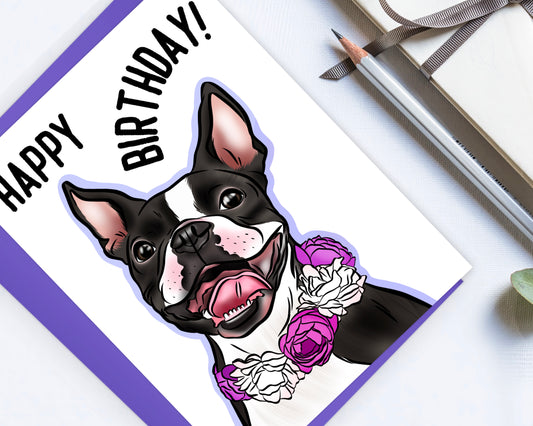 Boston Terrier Birthday Card