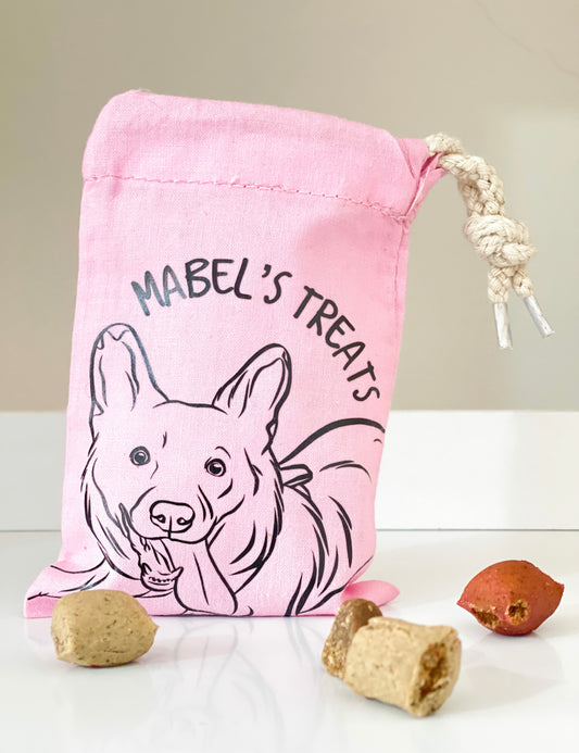 Pet Portrait Treat Bag (Pink)