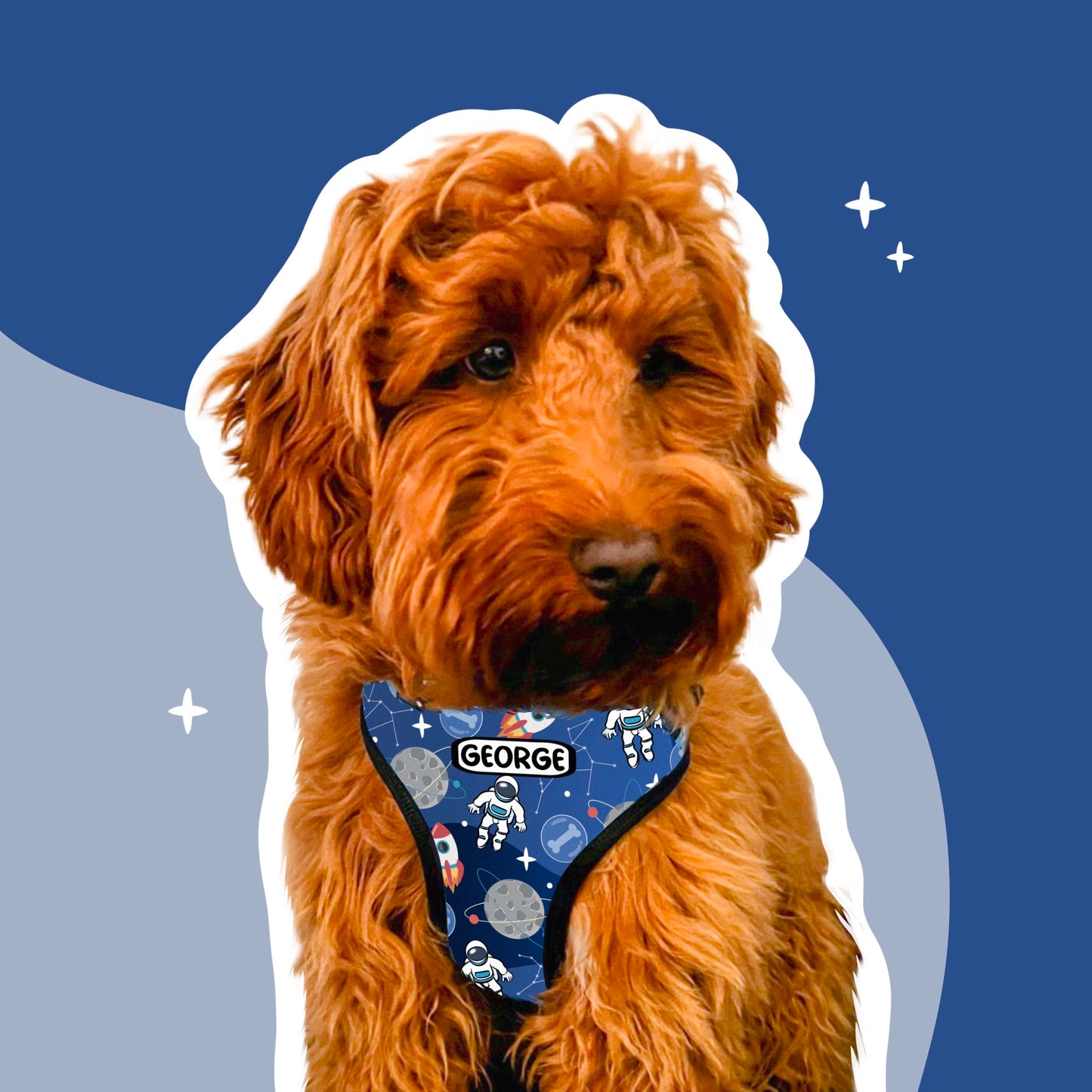 Space Pattern Harness (By Digi Doggo)