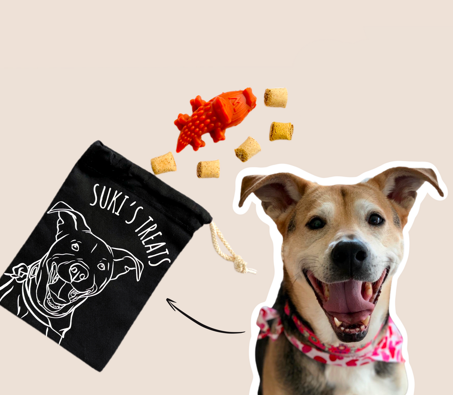 Pet Portrait Treat Bag (Black)