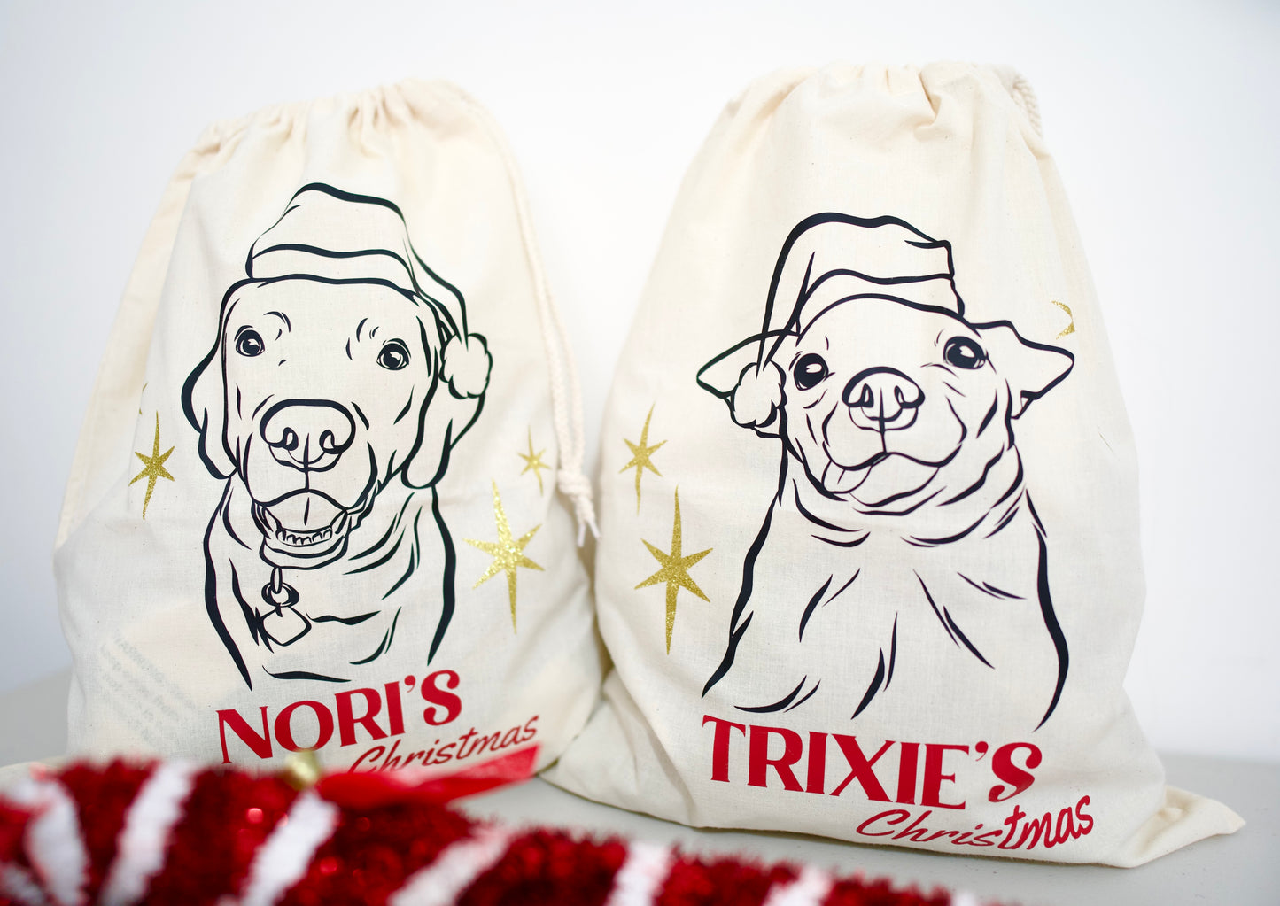 Pet Portrait Christmas Sack (Beige)