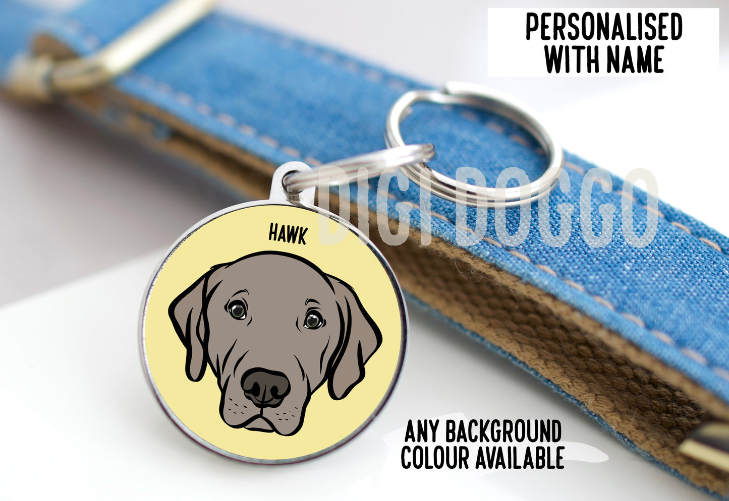 Labrador ID Tag