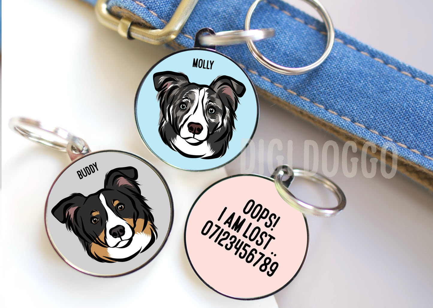 Border Collie ID Tag