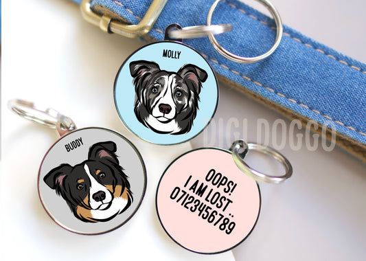Border Collie ID Tag