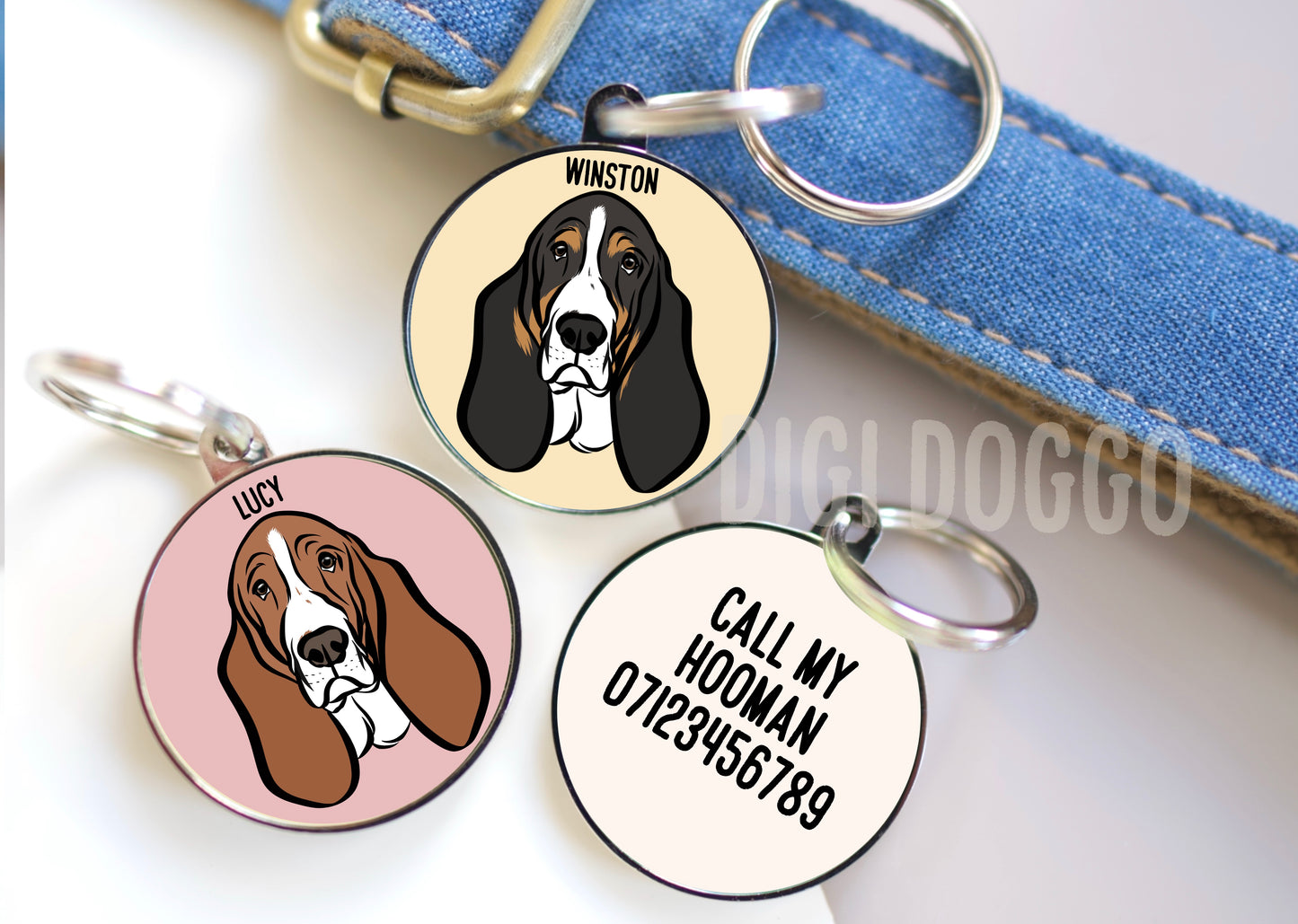 Basset Hound ID Tag