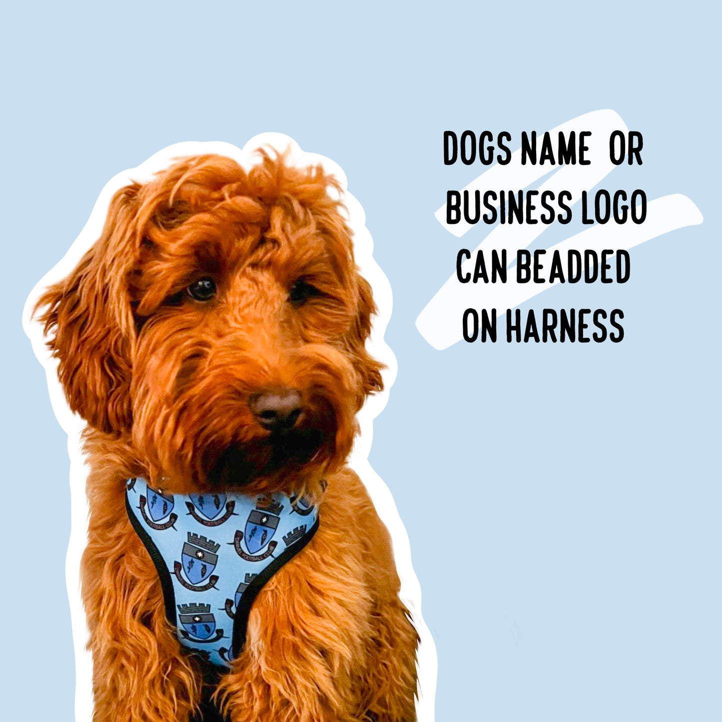 Personalised Pattern Harness
