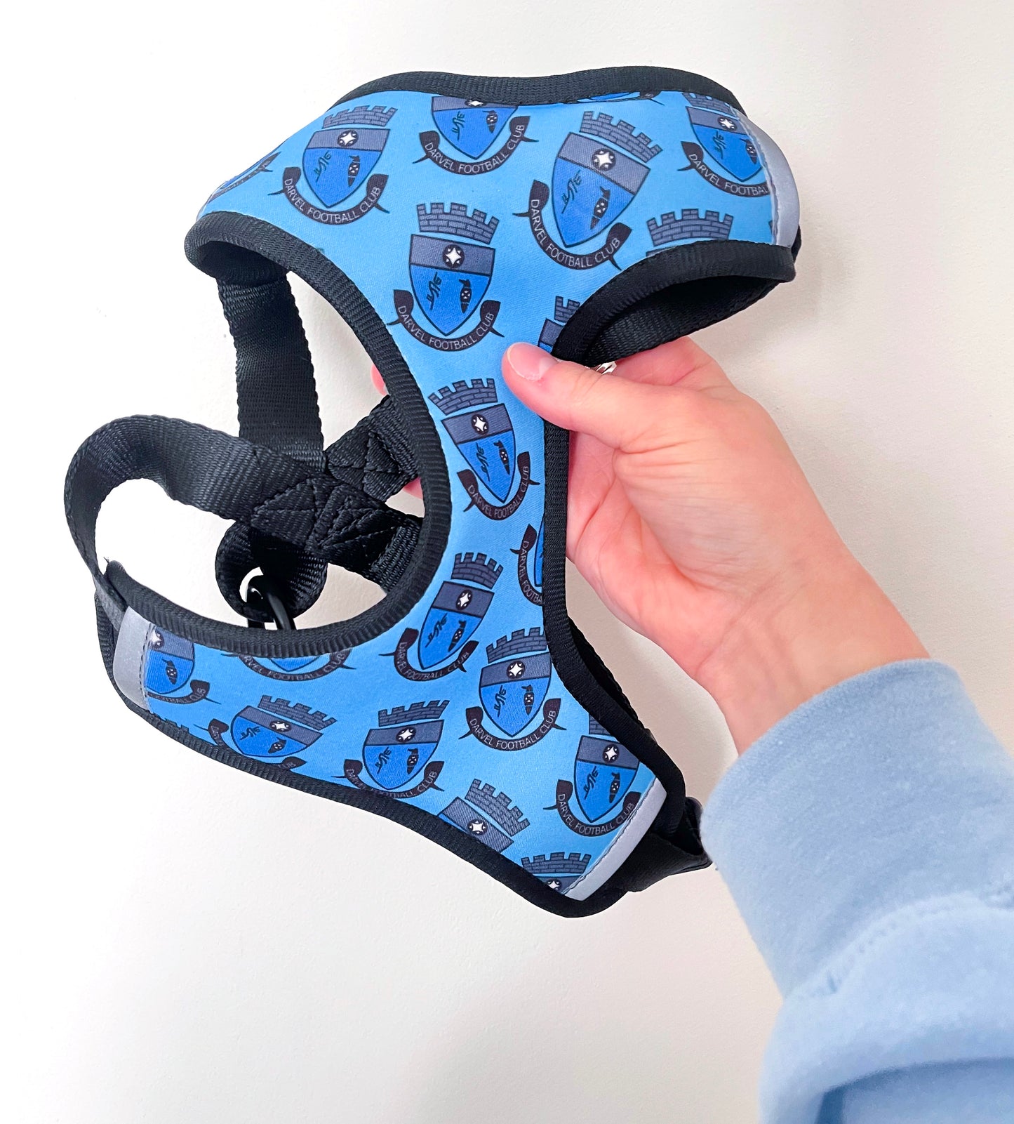 Personalised Pattern Harness