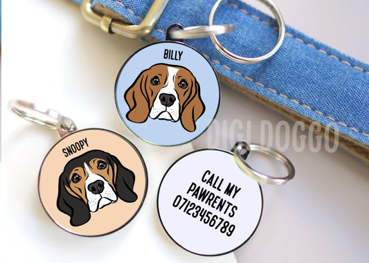 Beagle ID Tag