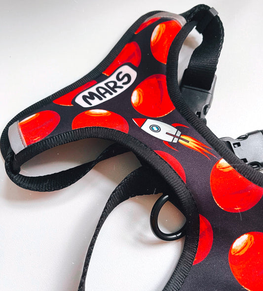 Personalised Pattern Harness