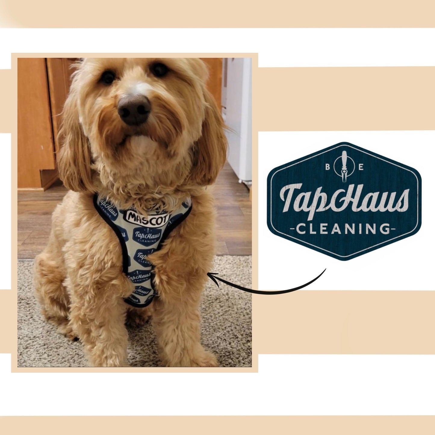 Personalised Pattern Harness